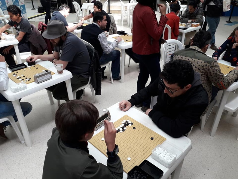 41382499_350530205488401_2473290126088732672_n_1637309861.jpg